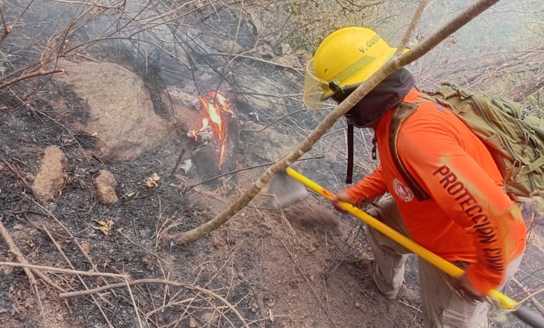 Incendio forestal en La Sepultura; fuego arrasa 720 hectáreas